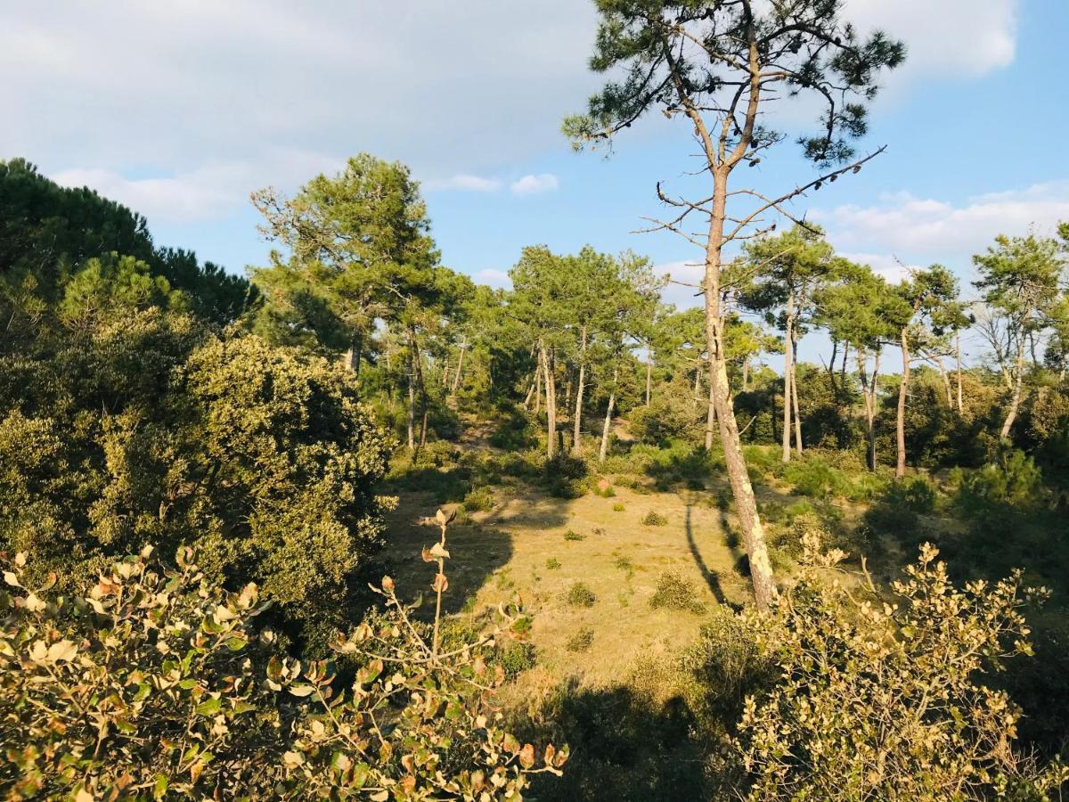 Standing Et Ocean A 50M, Appartement De L'Oasis Saint-Jean-de-Monts Bagian luar foto